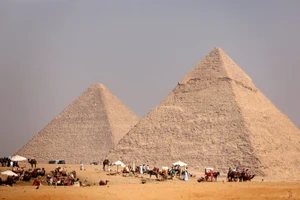 Lạc đà đợi khách tại Quần thể kim tự tháp Giza, Ai Cập. Ảnh | AFP