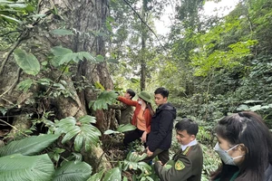 Tổ tuần rừng Thẳm Mu, xã Văn Lang (Na Rì) cùng kiểm lâm tuần tra bảo vệ rừng. 