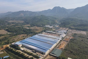 Các nhà máy chế biến gỗ trong Khu công nghiệp Thanh Bình, huyện Chợ Mới.