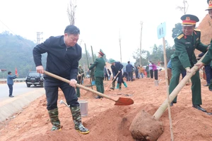 Bí thư Tỉnh ủy Bắc Kạn Hoàng Duy Chinh tham gia trồng cây. Ảnh: TUẤN SƠN.