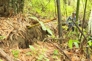 Vết nứt kéo dài trên đồi cao tại khu vực tổ 4, phường Đức Xuân, thành phố Bắc Kạn đe dọa tới an toàn của 60 hộ dân. (Ảnh: TUẤN SƠN)