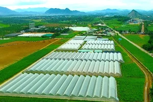 Trung tâm nông nghiệp công nghệ cao trên vùng đất Lam Sơn-Sao Vàng, tỉnh Thanh Hóa.