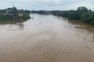 Nước trên sông Bưởi đang lên.