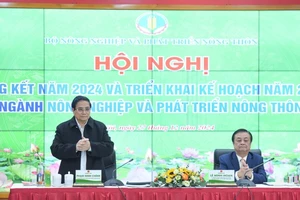 Thủ tướng Phạm Minh Chính dự Hội nghị tổng kết ngành Nông nghiệp và Phát triển nông thôn. (Ảnh: TRẦN HẢI)