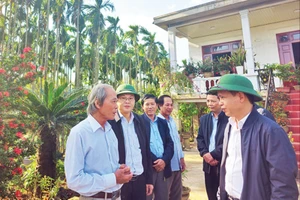 Bí thư Huyện ủy Triệu Phong Trần Xuân Anh (bên phải) cùng lãnh đạo huyện thăm khu vườn mẫu của ông Đào Xá (bên trái) ở thôn Bích Khê, xã Triệu Long.