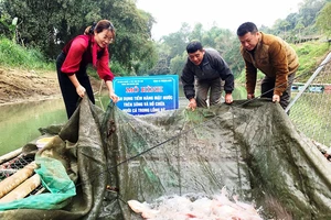 Mô hình nuôi cá lồng trên sông Năng được mở rộng sau khi sáp nhập Thượng Giáo, huyện Ba Bể, Bắc Kạn. (Ảnh: thuysanvietnam.com)