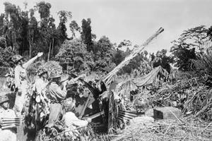 Phối hợp chặt chẽ với các đơn vị xung kích, các chiến sĩ cao xạ pháo đang đánh trả quyết liệt máy bay địch ở Điện Biên Phủ. (Ảnh: TTXVN)