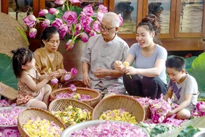 Các thành viên gia đình nghệ nhân Ngô Văn Xiêm (phường Quảng An, quận Tây Hồ) thực hiện công đoạn chuẩn bị ướp trà sen. (Ảnh: Nguyễn Hoa)
