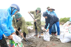 Phó Bí thư Thường trực Thành ủy Hà Nội Nguyễn Thị Tuyến cùng các lực lượng chức năng chuẩn bị bao cát, sẵn sàng cho tình huống khẩn cấp tại khu vực đê xung yếu xã Đại Áng. (Ảnh: Quang Thái)