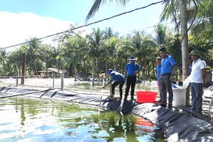 Mô hình nuôi tôm công nghệ cao Grofarm tại xã Hải Ninh, huyện Quảng Ninh, tỉnh Quảng Bình.