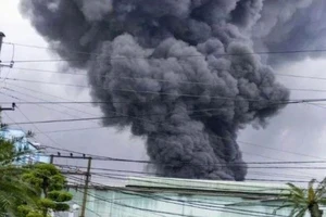 Khói bốc cao từ vụ cháy nhà xưởng ở huyện Đông Hưng, tỉnh Thái Bình. (Ảnh người dân cung cấp)