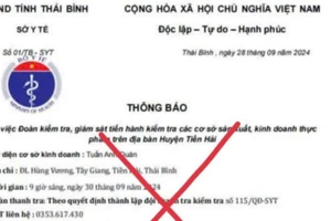 Nội dung công văn giả mạo Sở Y tế tỉnh Thái Bình được gửi đến cơ sở kinh doanh thực phẩm trên địa bàn huyện Tiền Hải (tỉnh Thái Bình).