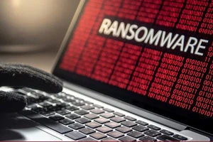 Thời gian vừa qua, tại Việt Nam, một số doanh nghiệp đã là nạn nhân của những cuộc tấn công ransomware, mã hóa dữ liệu và đòi tiền chuộc. Ảnh minh họa.