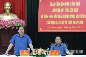 Bộ trưởng Ngoại giao Bùi Thanh Sơn phát biểu tại buổi làm việc.