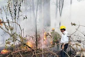 Lực lượng chức năng nỗ lực dập tắt đám cháy tại khoảnh 3, tiểu khu 266B, nằm trong khu du lịch quốc gia hồ Tuyền Lâm (thành phố Đà Lạt, Lâm Đồng), xảy ra ngày 25/2.