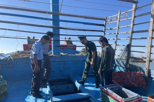 Lực lượng chức năng kiểm tra tàu cá tại cảng cá Phan Thiết