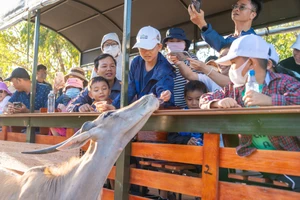 Du khách tham quan vườn thú tại Khu đô thị kinh tế du lịch NovaWorld Phan Thiết.