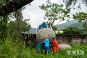 Người dân Đà Nẵng hối hả ứng phó bão số 6.