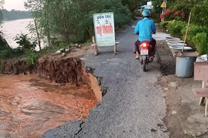 Một tuyến lộ của huyện Kế Sách, tỉnh Sóc Trăng bị sạt lở do triều cường, mưa dầm.