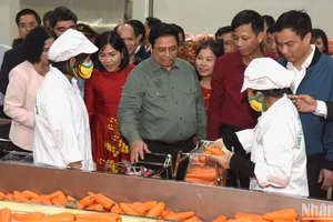 Thủ tướng Phạm Minh Chính thăm cơ sở sơ chế cà rốt của Hợp tác xã Dịch vụ nông nghiệp Đức Chính. 