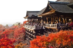 Mùa lá đỏ ở Kyoto. (Ảnh: Traveloka)