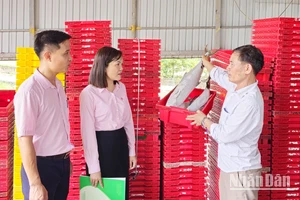 Cơ sở thu mua, chế biến thủy hải sản của anh Lê Hảo ở thôn Xuân Tiến, xã Gio Việt tạo việc làm cho nhiều lao động có thu nhập ổn định.