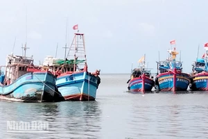 Tàu khai thác hải sản đậu tại cửa biển thành phố Rạch Giá, tỉnh Kiên Giang.