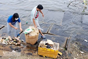 Công chức, viên chức và nhân dân thành phố Phú Quốc, tỉnh Kiên Giang thu gom rác ven biển. 