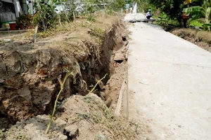 Khô hạn khiến nhiều tuyến đường ở huyện U Minh Thượng bị sụt lún. 