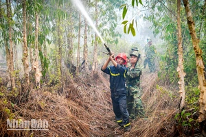 Lực lượng quân đội tham gia chữa cháy. 