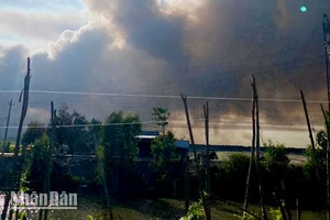 Khói bốc lên từ vụ cháy rừng tràm ở kênh T4, xã Vĩnh Phú, huyện Giang Thành, chiều 28/4. 