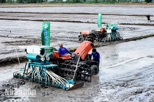 Mô hình thí điểm sản xuất lúa chất lượng cao, phát thải thấp chính thức khởi động ở Kiên Giang.