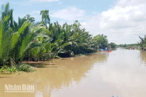 Một đoạn thuộc đầm Đông Hồ.