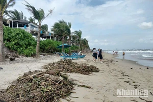 Do ảnh hưởng của mưa lớn, lũ trên thượng nguồn đổ về, kéo theo vô số rác thải ngập tràn bãi biển An Bàng, phường Cẩm An, TP Hội An. 