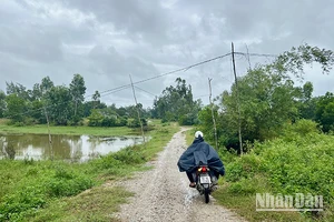 Lưới điện ở vùng nông thôn tỉnh Quảng Nam luôn tiềm ẩn những nguy cơ mất an toàn.