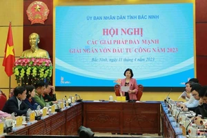 Chủ tịch Ủy ban nhân dân tỉnh Bắc Ninh Nguyễn Hương Giang kết luận hội nghị.