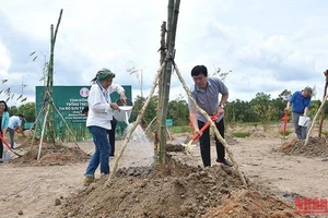 Bí thư Tỉnh ủy Đồng Tháp Lê Quốc Phong và Tiến sĩ Diệp Thị Mỹ Hạnh - Nhà sáng lập Làng tre Phú An trồng tre lưu niệm. (Ảnh: HỮU NGHĨA)