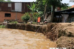 Bờ sông Tiền, đoạn thuộc xã Tân Quới, huyện Thanh Bình, tỉnh Đồng Tháp bị sạt lở. (Ảnh: TTXVN)