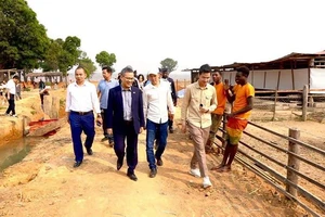 Đại sứ Dương Chính Chức thăm trang trại Team châu Phi. (Ảnh: Đại sứ quán Việt Nam tại Angola)