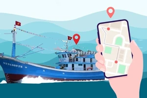 Tập trung phát hiện, điều tra và xác minh thông tin để xử lý vi phạm quy định về Hệ thống giám sát hành trình tàu cá (VMS)