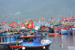 Công tác phối hợp giữa các địa phương để theo dõi, giám sát hoạt động tàu cá, chống khai thác IUU là rất cần thiết. (Ảnh: ANH ĐÀO)