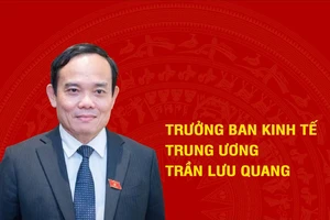 [Infographic] Tiểu sử tân Trưởng Ban Kinh tế Trung ương Trần Lưu Quang