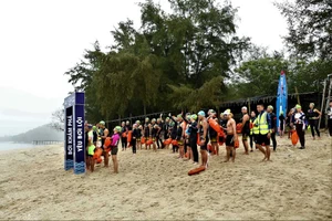 Hơn 60 vận động viên tham gia Giải bơi vòng quanh đảo Cô Tô con.