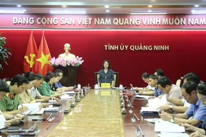 Thường trực Tỉnh ủy Quảng Ninh họp triển khai các biện pháp khắc phục hậu quả của bão số 3.