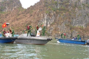 Bộ đội Biên phòng Quảng Ninh tham gia dọn rác thải trên Vịnh Hạ Long.