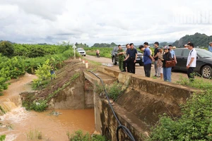 Đoàn công tác Ủy ban nhân dân tỉnh Sơn La kiểm tra khu vực cống ngập tại tiểu khu 32, xã Cò Nòi, huyện Mai Sơn.