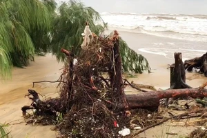 Hiện trạng sạt lở bờ biển Quảng Phúc, tỉnh Quảng Bình.
