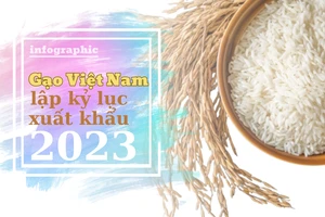 Gạo Việt Nam lập kỷ lục xuất khẩu