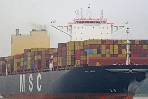 Tàu chở container MSC Aries. (Ảnh: IRNA/TTXVN)