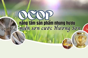 OCOP nâng tầm sản phẩm nhung hươu miền sơn cước Hương Sơn